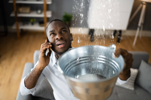 Best Residential water damage restoration  in Charles Town, WV