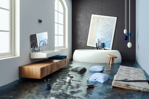 Best Water damage restoration near me  in Charles Town, WV