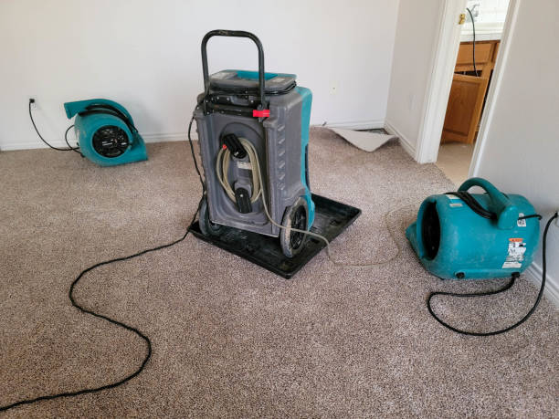 Best Water damage contractors near me  in Charles Town, WV