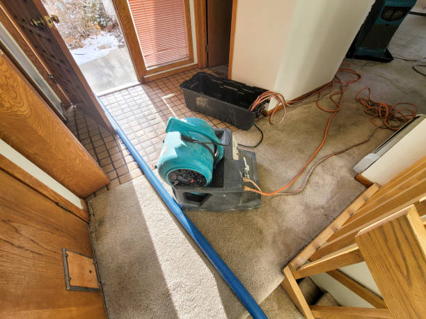 Best Fire Damage Restoration  in Charles Town, WV