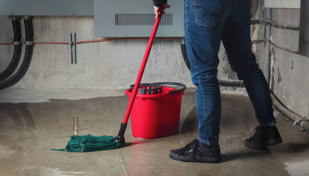 Best Water damage restoration cost  in Charles Town, WV