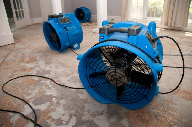 Best Flooded house restoration  in Charles Town, WV
