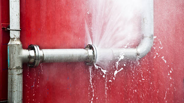 Best Sewage cleanup and water damage restoration  in Charles Town, WV