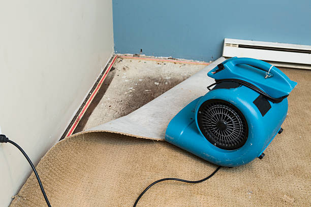 Best 24-hour water damage restoration  in Charles Town, WV
